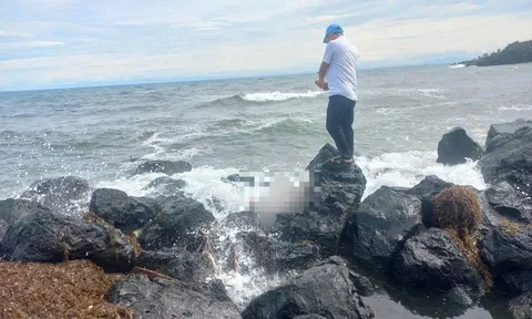 Phát hiện thi thể nữ giới dạt vào đảo Cồn Cỏ: Mặt bị biến dạng, tai đeo khuyên nghi bằng vàng