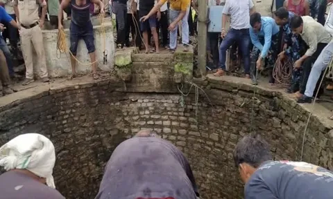 5 người đàn ông lao xuống giếng cứu một con bê, tất cả đều tử vong, nguyên nhân thật sự khiến ai cũng sốc