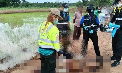 Bi kịch đẫm nước mắt: Ông nội 80 tuổi bắn chết cháu trai giữa cánh đồng lúa