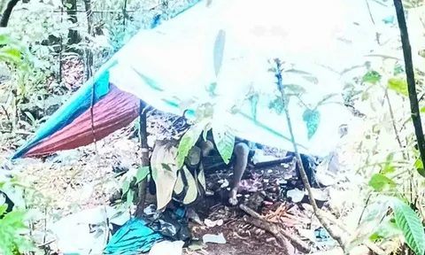 Phát hiện thi thể người đàn ông trong rừng sâu ở Lâm Đồng: Xác định danh tính nạn nhân