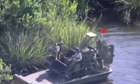 Đau đớn: Người phụ nữ 61 tuổi tử vong do bị cá sấu tấn công khi đang chèo xuồng cùng chồng