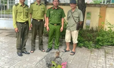 Phát hiện con vật "lắm lông, mặt đỏ", thích sống bầy đàn, người dân bắt giữ giao ngay cho công an