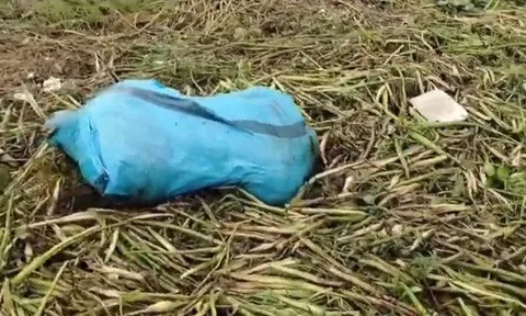 Phát hiện thi thể cô gái 28 tuổi trong bao tải xanh: Lật tẩy tội ác rùng rợn của gã nhân tình