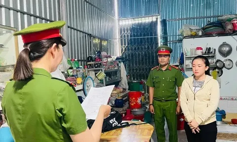 Vì sao Trần Mỹ Tiên bị bắt?