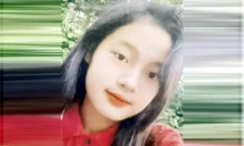 Nữ sinh lớp 9 "mất tích bí ẩn" ở Hà Nội: Gia đình kiểm tra camera, bàng hoàng phát hiện chi tiết liên quan chiếc ô tô màu đen