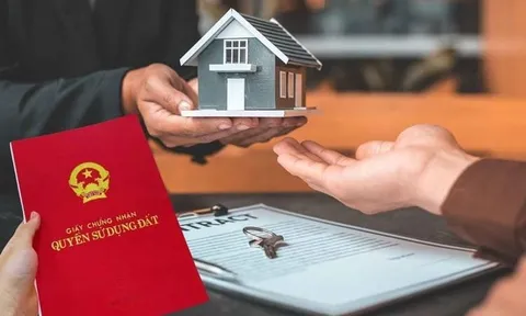 Từ năm 2025: Nhận thừa kế đất nhưng không đăng ký, coi chừng bị phạt nặng