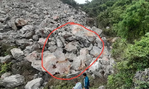 Vụ đi bắt ốc đá, người phụ nữ mất tích bí ẩn ở Ninh Bình: Tìm thấy thi thể ở đâu?