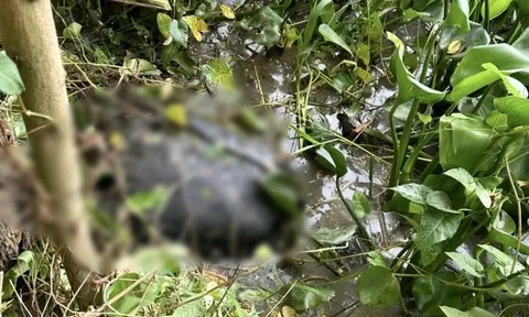 Vụ sát hại người tình, phi tang xác ở Tây Ninh: Lời khai ban đầu của nghi phạm, hé lộ bi kịch kinh hoàng