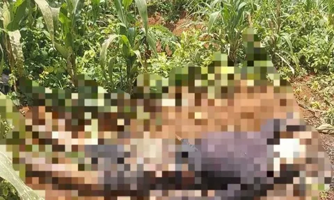 Phát hiện thi thể nam giới đang phân hủy trong vườn cà phê ở Lâm Đồng: Nạn nhân 26 tuổi, bên cạnh có một chai nhựa nghi là vỏ thuốc sâu