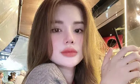 Vì sao "hot girl" Lê Phạm Hiểu Ly bị truy nã?