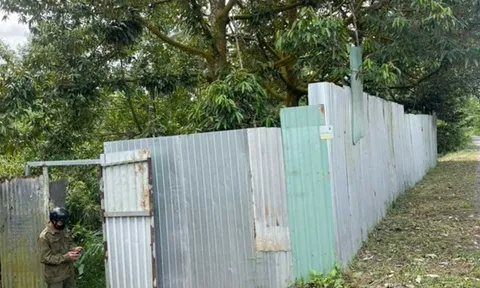 Phát hiện thi thể nam giới đã phân hủy trong vườn sầu riêng: Mặc áo có dòng chữ "DIOR", mất 4 răng cửa hàm trên