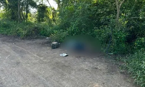 Đang đi câu cá, bàng hoàng phát hiện xác chết nam giới bên đường ở Đồng Tháp: Hiện trường có gì?