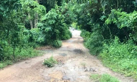 Vụ con trai sát hại mẹ, chém trọng thương chị gái ở TP.HCM: Nghi phạm là người thế nào?