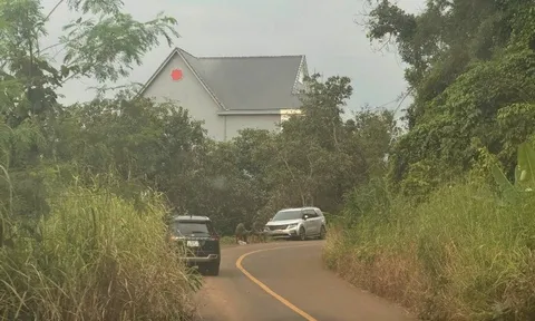 Vụ 3 người tử vong trong nhà ở Đồng Nai: Hàng xóm tiết lộ chi tiết đau lòng