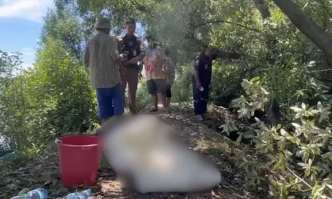 Phát hiện thi thể người đàn ông bên gốc cây: Dấu vết nhỏ trên người tiết lộ nguyên nhân cái chết