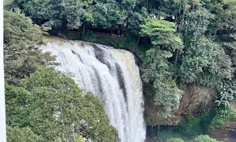 Vụ khách nữ mất tích bí ẩn tại quán cà phê cạnh thác Voi, Lâm Đồng: Trích xuất camera phát hiện cảnh tượng kinh hãi
