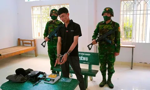 Trần Đình Sâm bị bắt, lý do liên quan đến 16 khoanh vàng