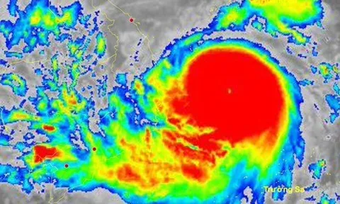 Bão số 13 mang theo "sức tàn phá cực kỳ lớn", có thể đánh đắm tàu biển trọng tải lớn áp sát miền Trung, dự báo đêm nay đổ bộ đất liền