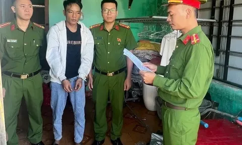 Bắt Nguyễn Chế Linh, vì sao?