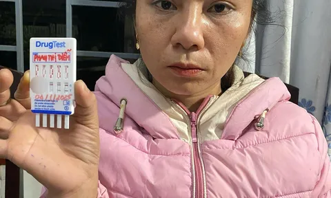 Công an bắt giữ Phan Thị Diễm