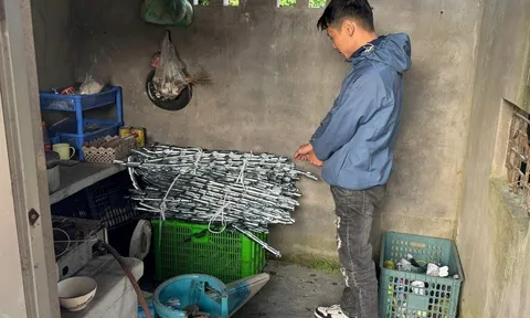 Công an triệu tập Nguyễn Thế Anh- nghi phạm cắt trộm 121m dây cáp điện ở Hải Phòng