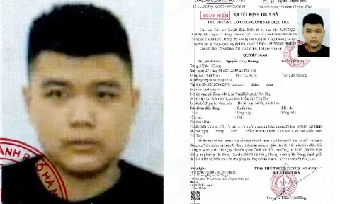 Nguyễn Tùng Dương bị truy nã, vì sao?