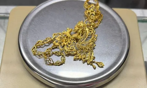 Danh tính nữ giúp việc trộm nữ trang vàng trị giá hơn 200 triệu đồng của gia chủ, giấu trong bồn vệ sinh, camera "tố cáo" hành vi phạm tội