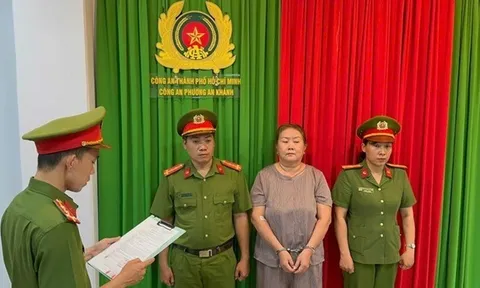 Đỗ Hồng Trinh bị bắt