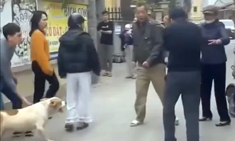 Rùng mình clip: Thanh niên nghi “điều” chó dữ vào cuộc ẩu đả, một phụ nữ bị tấn công dữ dội