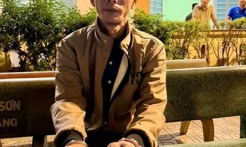 Nguyễn Ngọc Lan bị bắt