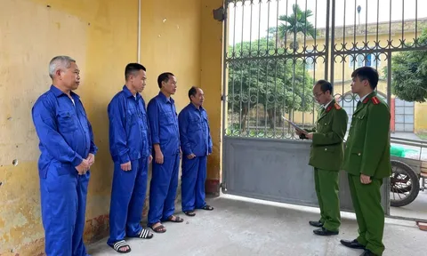 Khởi tố, bắt tạm giam Trịnh Đình Loan