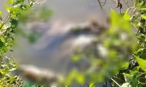 Vụ thi thể thiếu nữ 13 tuổi dưới vuông nước ở Cà Mau: Xác định danh tính nạn nhân, tiết lộ manh mối về nghi phạm