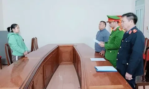 Phạm Thị Minh Hà "sa lưới"