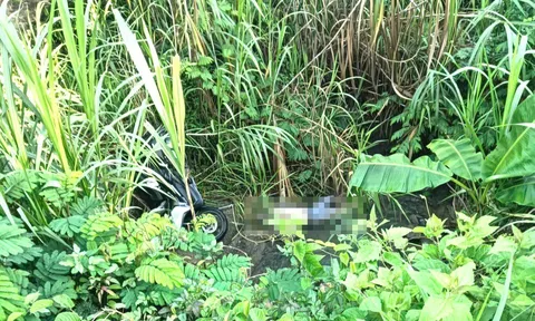 Vụ thi thể nam sinh viên dưới chân đèo Chuối: Danh tính nạn nhân, hiện trường có gì "lạ"?