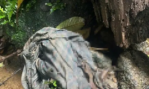 Tình tiết mới nhất vụ bộ xương người tại bìa rừng ở Quảng Ngãi, chưa có ai đến nhận thân nhân