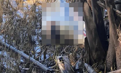 Kỳ án tình ái: Cô gái trẻ bị giết, vứt xác phi tang trên sông Hàm Luông