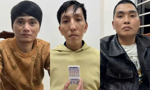 Tạm giữ khẩn cấp Nguyễn Văn Hoà và đồng phạm