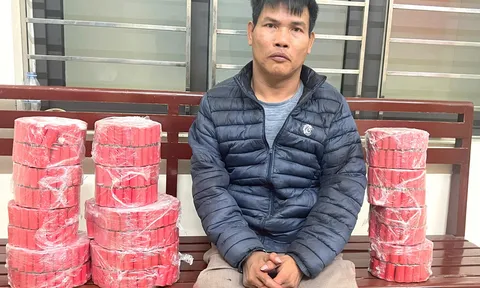 Bắt giữ Nguyễn Tiến Trường