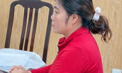 Tạm giữ hình sự Lê Thị Hà, vì sao?