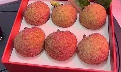 Thực hư quả vải gần 200 triệu đồng: Vỏ đẹp, thịt ngọt, giá... giật mình