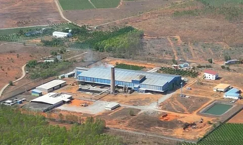 Nhà máy xử lý rác bị dừng hoạt động do vi phạm về môi trường