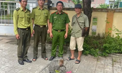 Cá thể khỉ mặt đỏ quý hiếm lạc vào nhà dân, hành động của chủ nhà gây chú ý