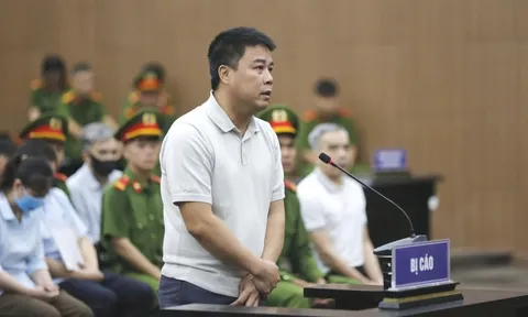 Hậu “Pháo” bật khóc vì mừng: Tòa chấp thuận xử lý 196 lô đất để khắc phục hậu quả