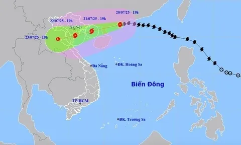 Nhiều trường thông báo nghỉ học gấp vì bão Wipha
