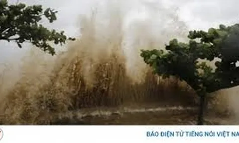 Nguy cơ ngập sâu: Di dời hàng chục hộ dân tại phường Nam Định để đảm bảo an toàn tránh bão số 3