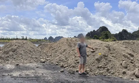 Chỉ đạo đổ trái phép 175 tấn bã bê tông, Chủ tịch công ty cùng 3 người bị khởi tố