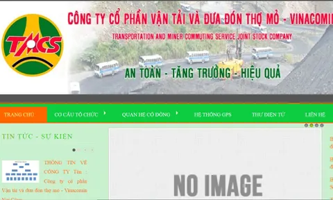 Một công ty con của Tập đoàn Than - Khoáng sản: Đấu thầu mua xe gần 60 tỷ, tiết kiệm 0,06%