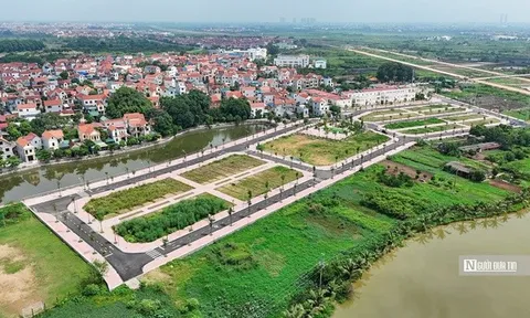 Giá khởi điểm quá thấp tạo cơ hội "trục lợi" trong các phiên đấu giá đất