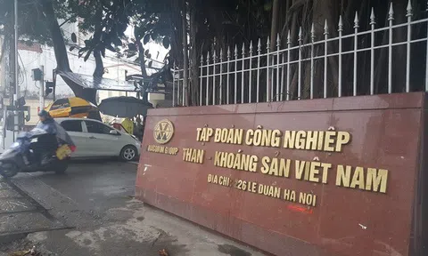 Tập đoàn CN Than - Khoáng sản Việt Nam: Chỉ một liên danh tham dự trúng gói thầu hơn 587,9 tỷ đồng