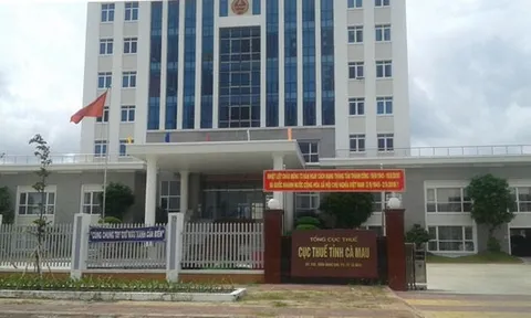 Cà Mau: Nhà thầu Xây dựng - Cây xanh - Chiếu sáng Hữu Tình bị cưỡng chế hóa đơn hơn 1,1 tỷ đồng